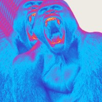 BERNARD STUDIA Avatar