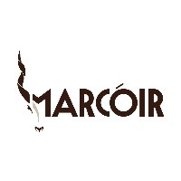 Marcoir Enterprises Avatar