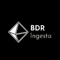 BDR Ingesta Avatar
