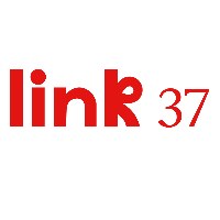 Link37 Avatar