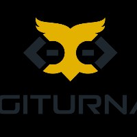 DIGITURNAL Avatar