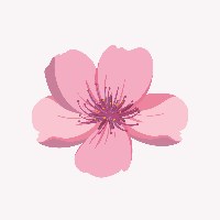 Spring Creatives Avatar