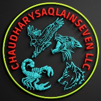 ChaudharySaqlainSeven LLC Avatar
