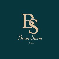 Brain Storm Solutions Avatar