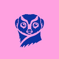 Suricata Studio Avatar