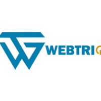 WEBTRIQ TECHNOLOGY PVT LTD Avatar