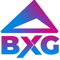 Brisxcelgeeks IT Solutions LLP Avatar