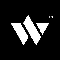 Webrise Global Avatar