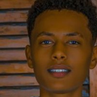 Mesefin Avatar
