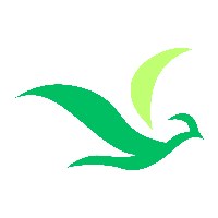 Social Reach - Social Media Agency Avatar