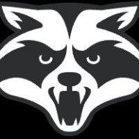 Raccoon Soft Avatar