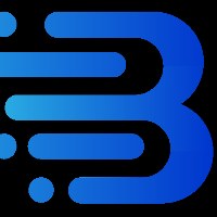STE BARNAOUI CONSULTING Avatar