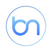 Brainy Neurals Private Limited Avatar