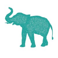 Graceful Media LLC Avatar