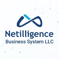 Netilligence Avatar
