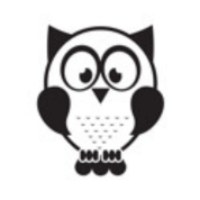 Elf Owls Digital Marketing Agency Avatar