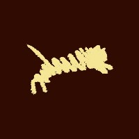 NiceTiger Avatar