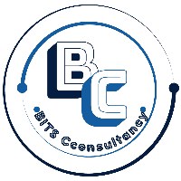 BITS Consultancy Avatar