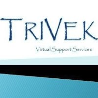 TriVek Virtual Support Avatar