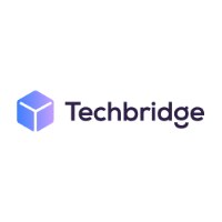 TechBridge Solutions Avatar
