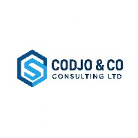 CODJO & CO CONSULTING LTD Avatar