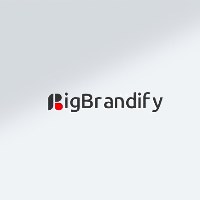 Big Brandify Avatar