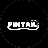 Pintail Marketing Avatar
