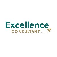 Excellence Consultant Avatar