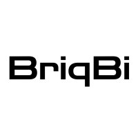 BriqBI Analytics Pvt Ltd Avatar