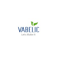Vabelic – Digital Marketing & AI Solutions Agency Avatar