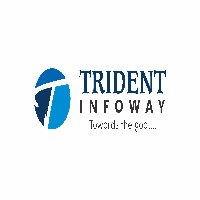 Trident infoway Avatar