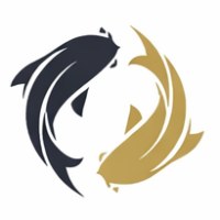 Markov and Partners Avatar