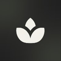 Studio Lotus Avatar