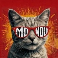 Mondu Agency Avatar