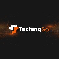 TechingSol Avatar