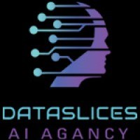 Dataslices Ai Agency Avatar