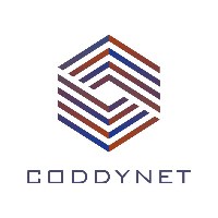 Coddynet Infotech Avatar