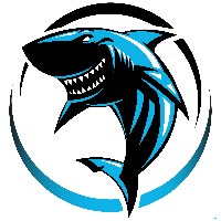 EcomSharks Avatar