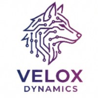 Velox Dynamics Avatar