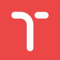 Temy - Custom Software and AI Development Avatar