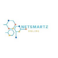 Netsmartz Consultancy services private limited Avatar