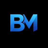 BridgeMe  Avatar