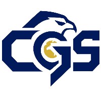 Critical Global Solutions LLC Avatar