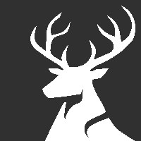 Cervora Consulting Avatar