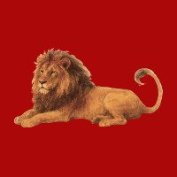 Dhimal FORCE Avatar