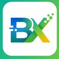 Binaxe Games Avatar