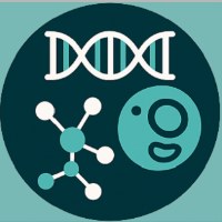 BiofreelanceAI Services