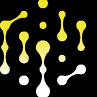 Quantum Nexus
