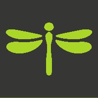 Dragonfly Engineering