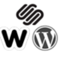 Squarespace & Shopify & WordPress Specialist Avatar